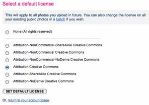 Fig. 2 - flickr user choose default.jpg